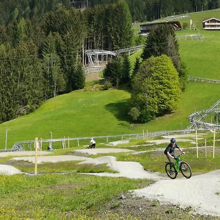 Appartement Hermine By Interhome Auffach